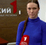 Собираем домашнюю аптечку для питомцев: что нужно знать тулякам - ТК Первый Тульский