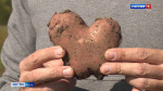 Эфир от 09.09.2025 (21:10) Россия 1