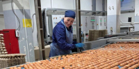 Обновлённая птицефабрика выведет Тульскую область в Топ-10 по производству яиц - Молодой коммунар
