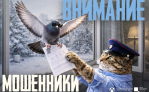 Тулякам приходят поддельные квитанции ЖКХ: как распознать обман?