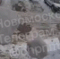 Момент схода снега с крыши в Новомосковске попал на видео - ИА Тульская пресса.Ru