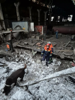 Собака-спасатель помогла обнаружить погибшего под рухнувшей крышей в Узловой
