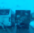 В Туле водитель автобуса не захотел повернуть по ПДД - Myslo.Ru