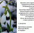 С прекрасным весенним праздником – Международным женским Днем  8 марта! - Комитет по тарифам