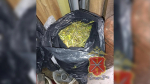 Под Алексином нашли наркопитомник в морском контейнере