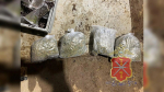 Под Алексином нашли наркопитомник в морском контейнере