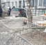 В Туле водитель умер за рулем и врезался в дом - ГТРК