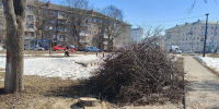 Жительница Тулы обеспокоена вырубкой деревьев в сквере на Красноармейском проспекте - ИА Тульская служба новостей