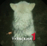 Под Богородицком в собаку выстрелили из арбалета - ТК Первый Тульский
