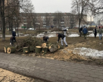 Больше 7 тысяч туляков вышли на первый общегородской субботник