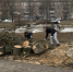 Более 7 тысяч туляков вышли на первый общегородской субботник - ИА Тульская служба новостей