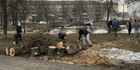Более 7 тысяч туляков вышли на первый общегородской субботник - ИА Тульская служба новостей