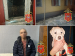 В Новомосковске полицейские вернули хозяйке похищенного лабрадора