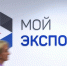 Аграрии смогут компенсировать до 100% затрат на логистику: 26 февраля стартует прием заявок через платформу «Мой экспорт» - Министерство развития предпринимательства и торговли
