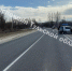 В Белевском районе молодой человек на Geely устроил ДТП, пострадал один человек - ИА Тульская пресса.Ru