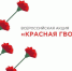 Всероссийская акция «Красная гвоздика» - Министерство развития предпринимательства и торговли