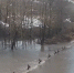 В Тульской области из-за подъема уровня воды в реках закрыто движение на 20 мостах - ИА Тульская служба новостей