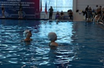 В Туле стартовало первенство ЦФО по синхронному плаванию