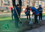 Больше 9 тысяч человек вышли на второй городской субботник в Туле