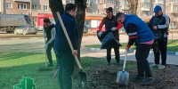 Более 9 тысяч туляков вышли на второй городской субботник - ИА Тульская служба новостей