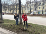 Депутаты Тульской городской Думы приняли участие в субботнике