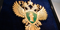 Жители дома в Тепло-Огаревском районе пожаловались на крыс в подвале - ИА Тульская служба новостей