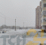 Тулу накрыла вторая волна снегопада - ИА Тульская служба новостей