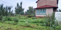 В Тульской области выявили продажу запрещенных саженцев яблонь и груш - Молодой коммунар