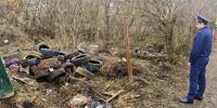 Прокуратура наказала администрацию Богородицкого района за свалку шин - ИА Тульская пресса.Ru