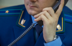В Богородицке обнаружили свалки опасных отходов