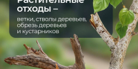 ООО «МСК-НТ»: складирование веток и других растительных отходов на контейнерных площадках является нарушением закона - ИА Тульская пресса.Ru