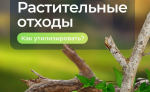 ООО «МСК-НТ»: складирование веток и других растительных отходов на контейнерных площадках является нарушением закона
