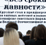Студентам напомнили о преступлениях нацистов на тульской земле и усташей - на Балканах - Tula.Sm.News