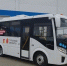 Два района Тульской области получили автобусы для перевозки юных спортсменов - ИА Тульская служба новостей