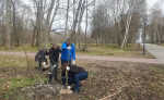 В Богородицком дворце-музее высадили липы и рябины в рамках субботника