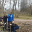 В Богородицком дворце-музее продолжают обновлять парк Болотова - Молодой коммунар