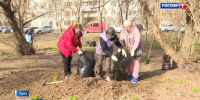 Более 1500 коммерческих объектов и 174 предприятия присоединились к месячнику чистоты в Тульской области - ГТРК