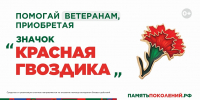 Ежегодная всероссийская акция помощи ветеранам «Красная гвоздика» стартует 10 апреля - Министерство труда и соцзащиты