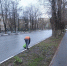 За сутки с улиц Тулы вывезли 95 кубометров смёта - ТК Первый Тульский