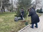Сотрудники минздрава Тульской области и медучреждений региона приняли участие во Всероссийском субботнике