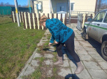 Сотрудники минздрава Тульской области и медучреждений региона приняли участие во Всероссийском субботнике