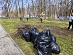 Сотрудники министерства по контролю и профилактике коррупционных нарушений в Тульской области приняли участие в общеобластном субботнике