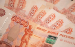 Названы зарплаты руководителей тульских лесничеств и ГУ ТО «Природа»