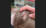 Конфликт водителя с подростками в автобусе Новомосковска стал уголовным делом