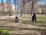 Всероссийский субботник: министерство энергетики - в Рогожинском парке