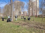 Всероссийский субботник: министерство энергетики - в Рогожинском парке