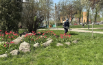 В тульских парках продолжаются антиклещевые обработки