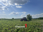 В Туле потратят 20 млн рублей на борьбу с борщевиком