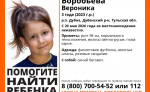 По факту исчезновения трехлетней девочки из Дубны возбудили уголовное дело