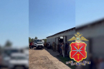 Силовики задержали нелегальных мигрантов в ходе рейда на ферме под Тулой